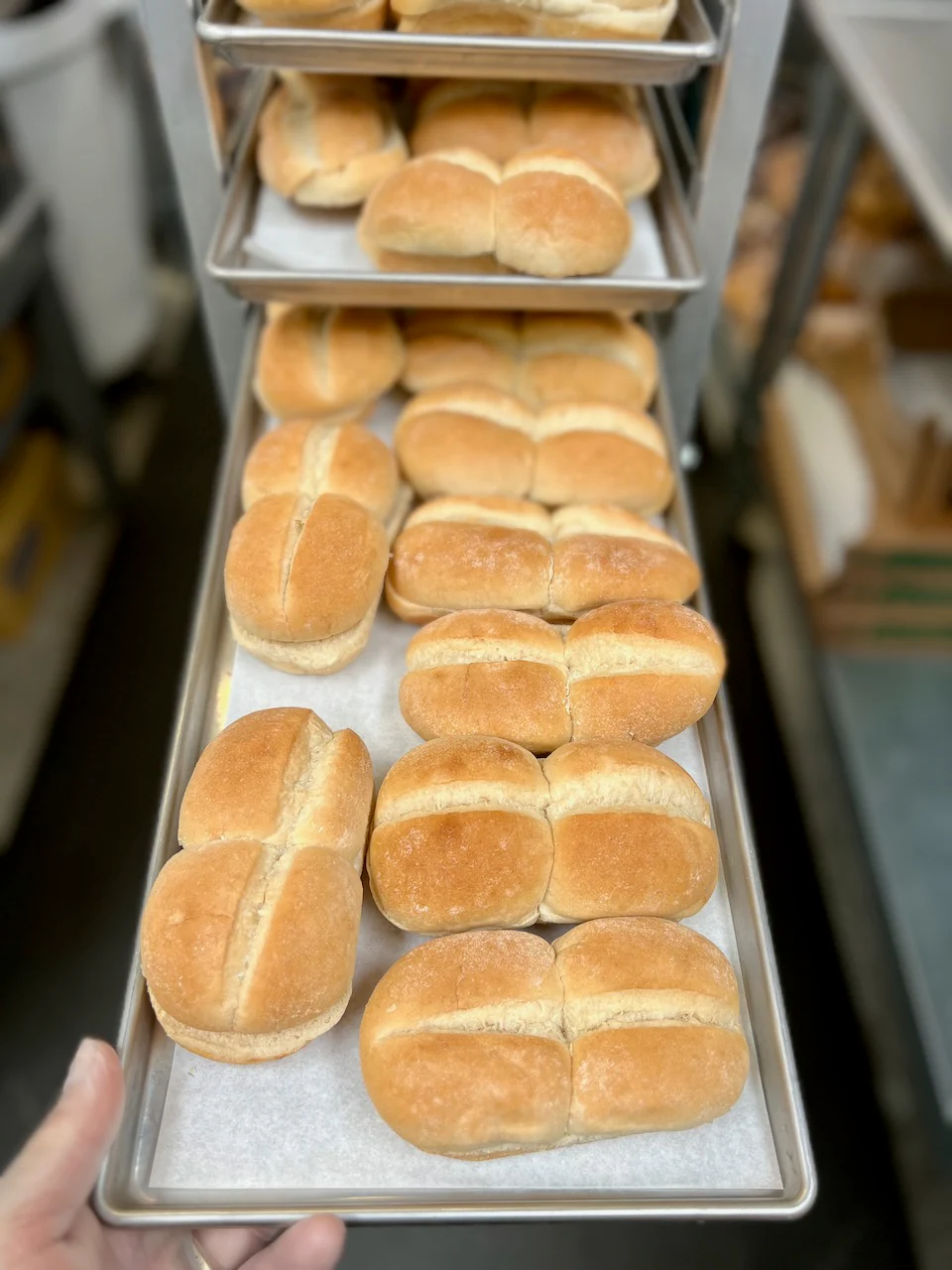 Freeze Dried Fully Cooked Hamburger Buns - Image 7