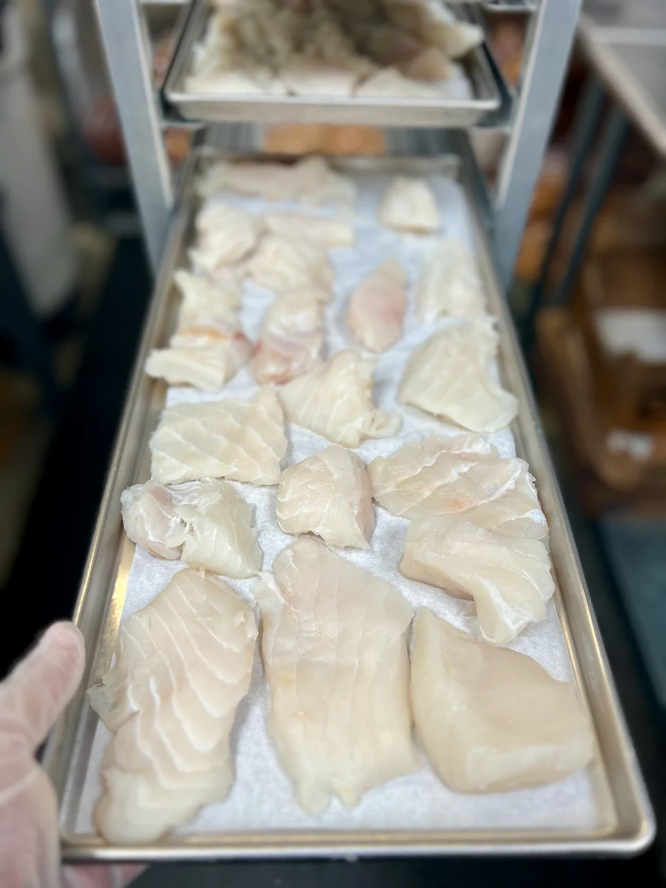 Freeze Dried Wild Caught Alaskan Halibut - Image 5