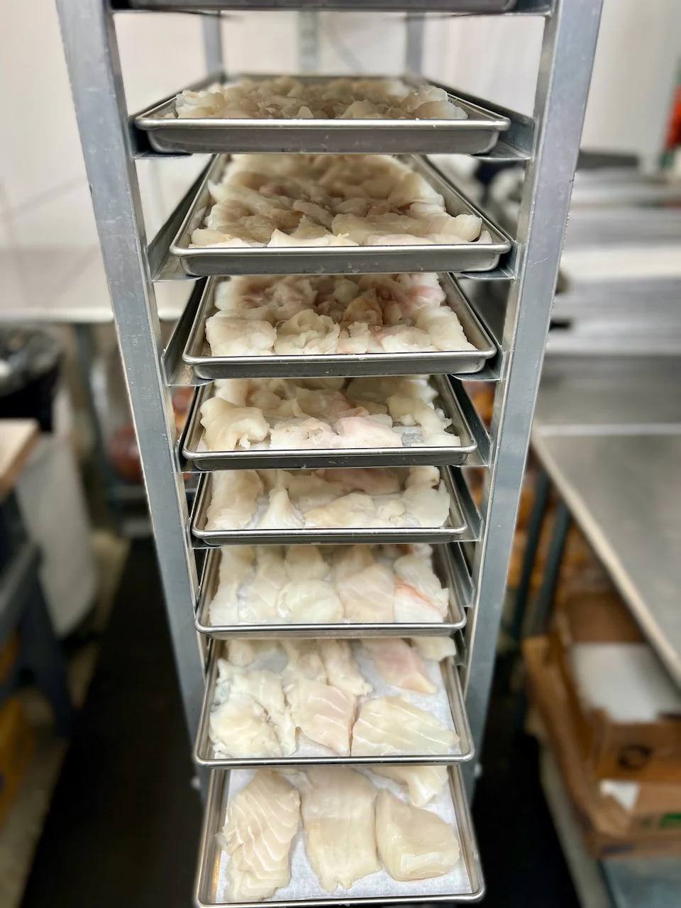 Freeze Dried Wild Caught Alaskan Halibut - Image 6