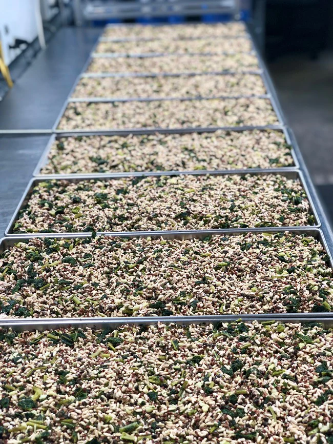 Freeze Dried Ancient Grains and Kale - Image 4