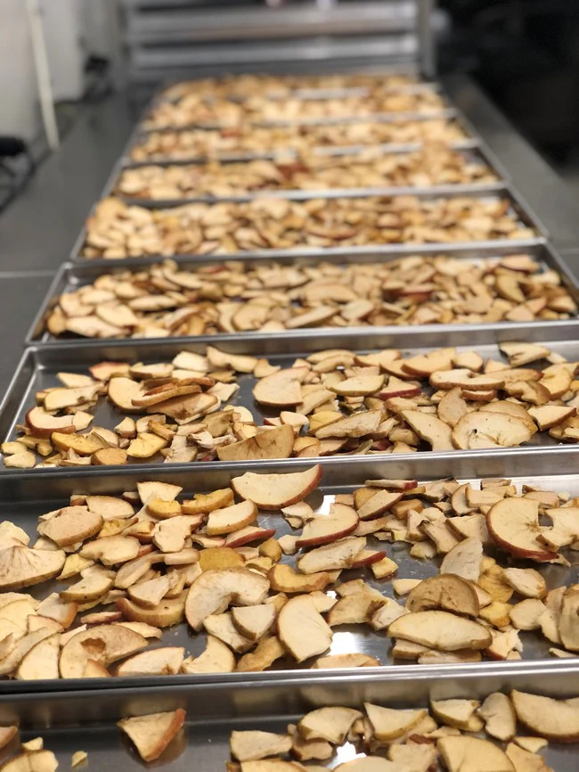 Freeze Dried Apple Chips - Image 4