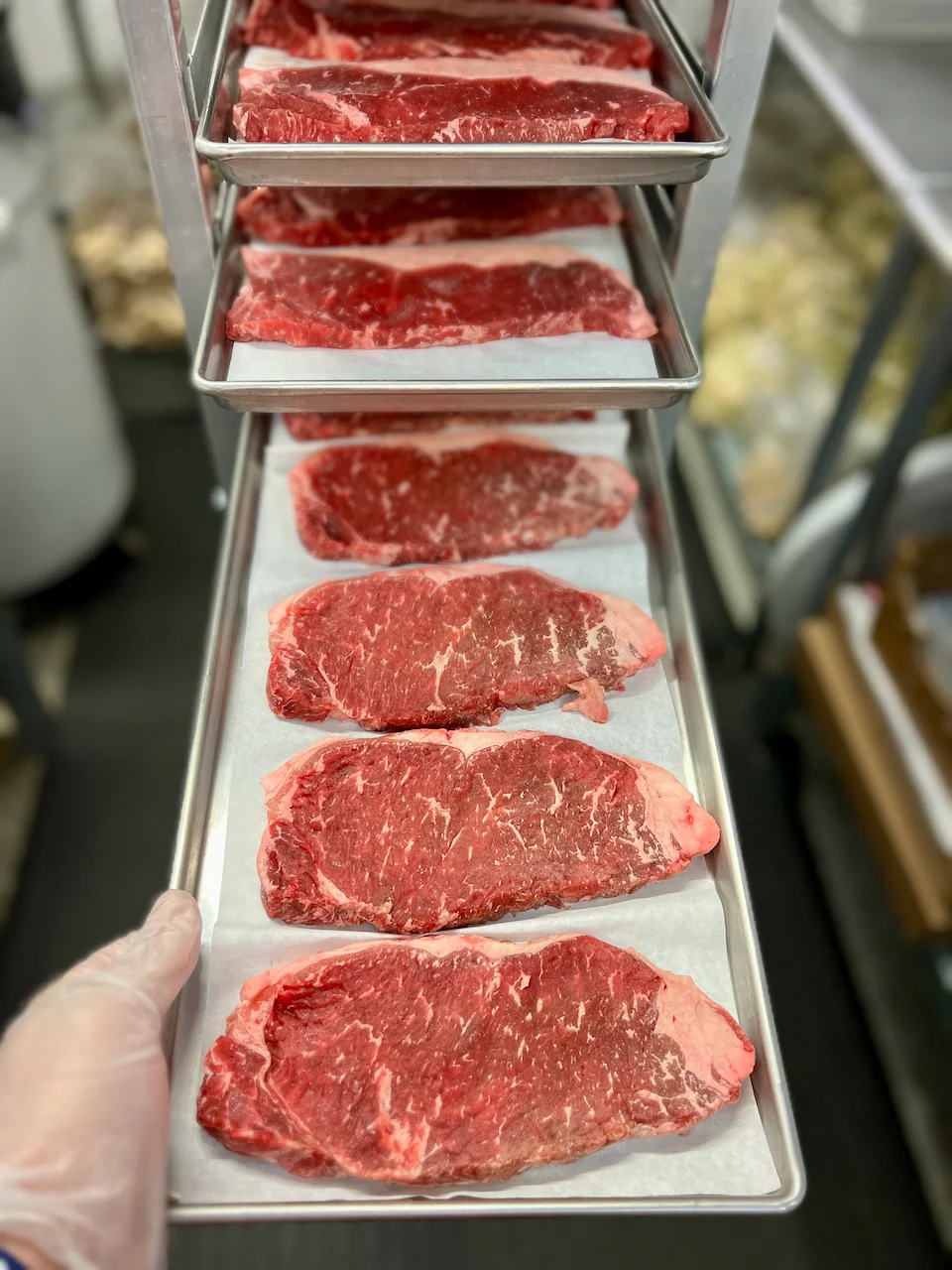 Pre-Sale Freeze Dried Grass Fed Black Angus USDA Prime New York Strip Steaks - Image 6