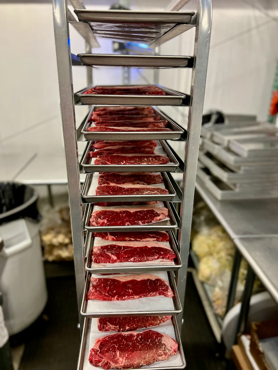 Pre-Sale Freeze Dried Grass Fed Black Angus USDA Prime New York Strip Steaks - Image 7