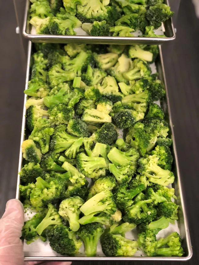 Freeze Dried Broccoli Florets - Image 5