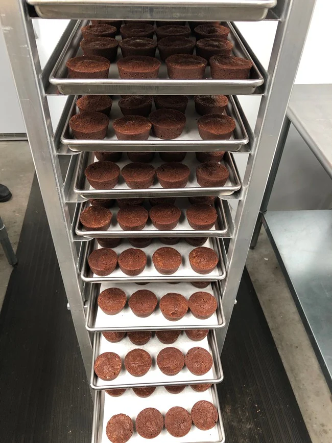Freeze Dried Chocolate Brownie Bites - Image 5