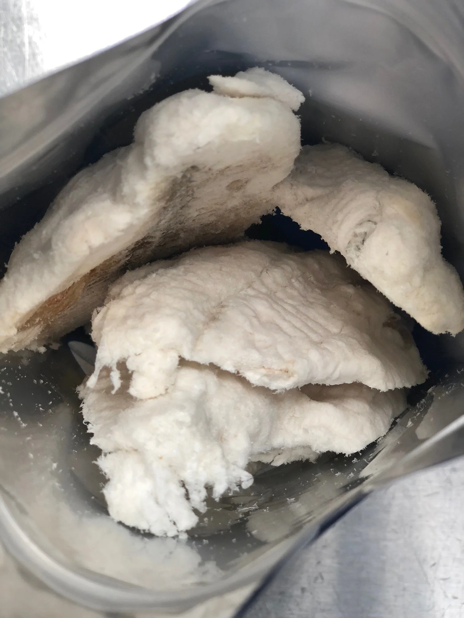 Freeze Dried Catfish Fillets - Image 4