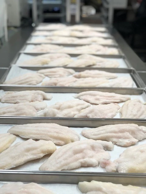 Freeze Dried Catfish Fillets - Image 5