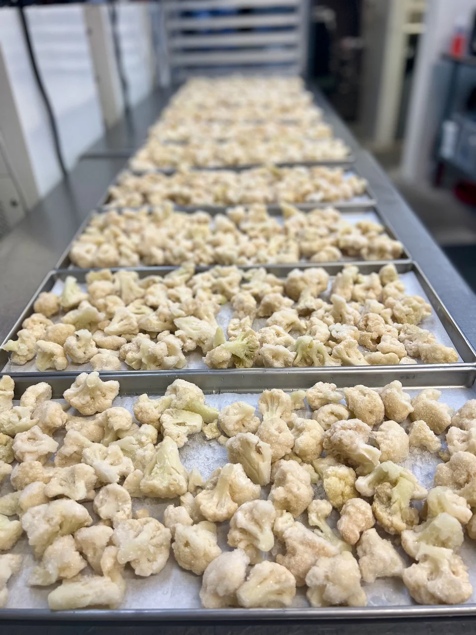 Freeze Dried Cauliflower - Image 4