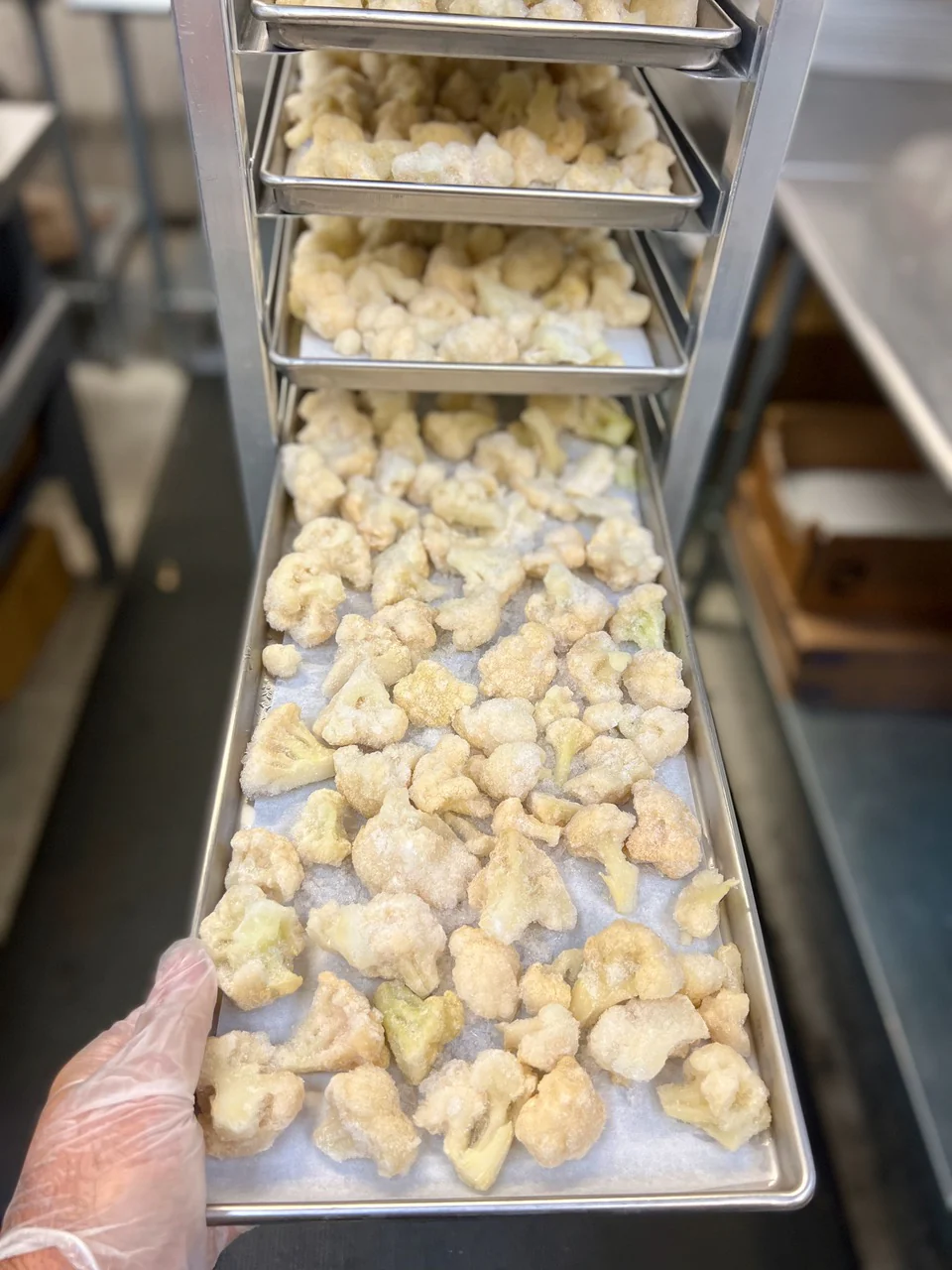 Freeze Dried Cauliflower - Image 5