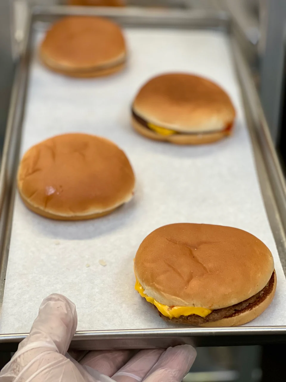 [Pre-Sale] Freeze Dried Cheese Burger - Image 3