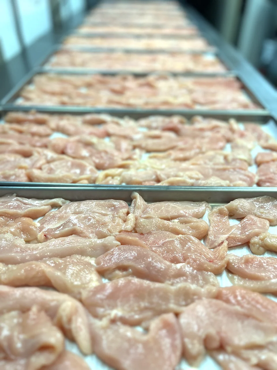 Freeze Dried Uncooked Chicken Breast Strips - Image 5