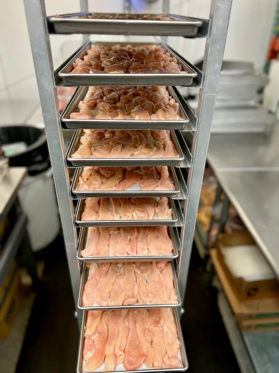 Freeze Dried Uncooked Chicken Breast Strips - Image 6