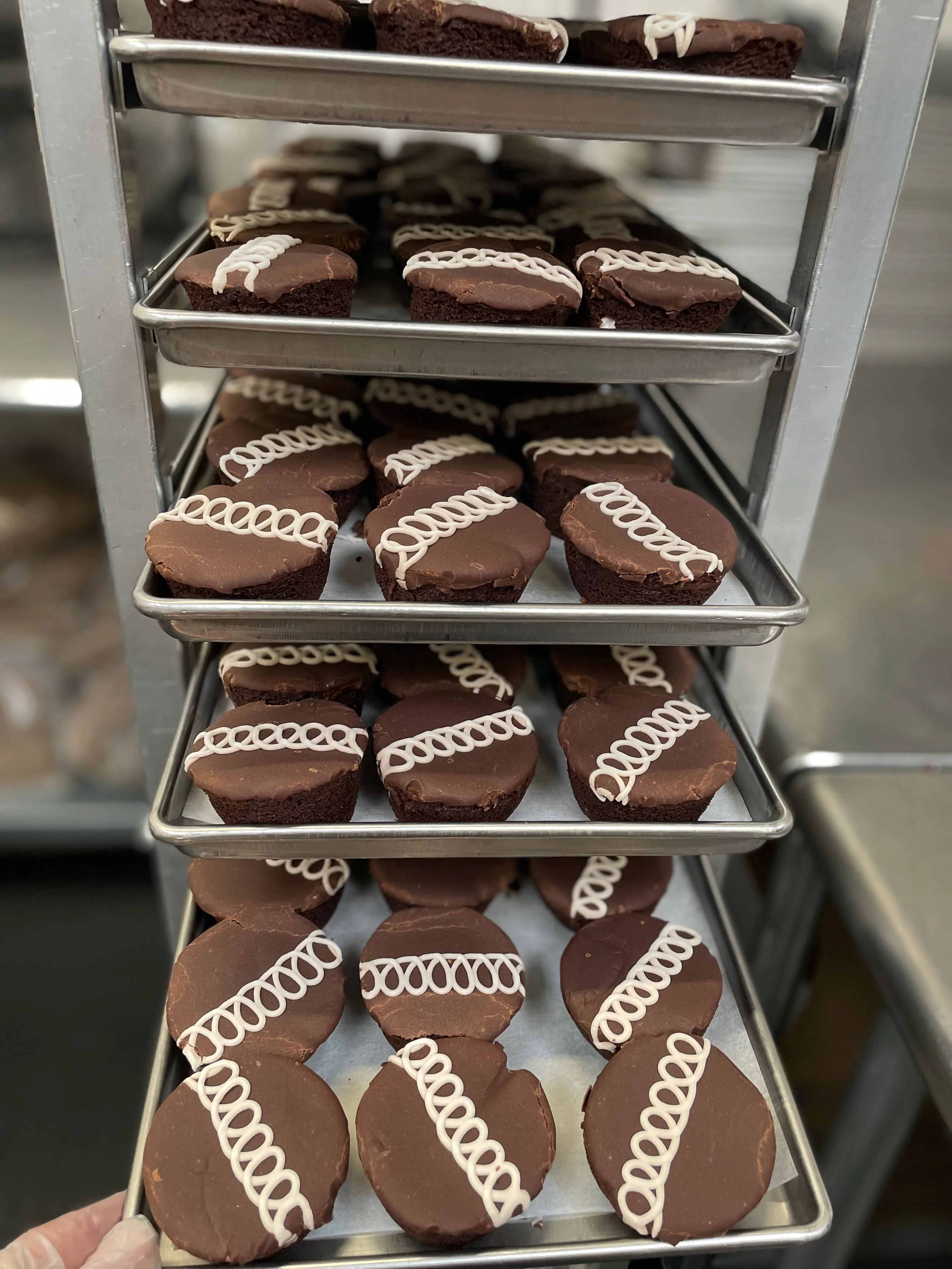 Freeze Dried Chocolate Cupcakes with Creamy Filling - Image 7