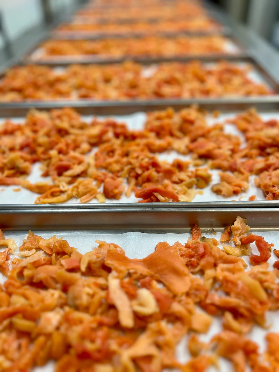 Freeze Dried Chopped Sea Clams - Image 5