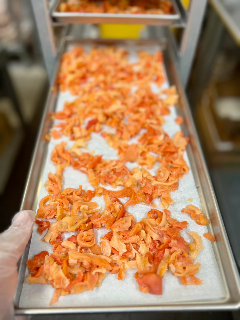 Freeze Dried Chopped Sea Clams - Image 7