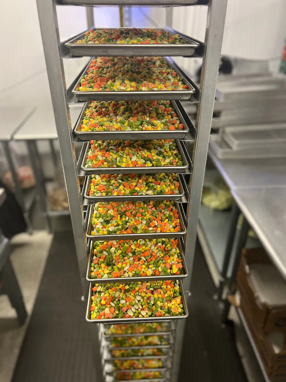 Freeze Dried Classic Mixed Vegetables - Image 6