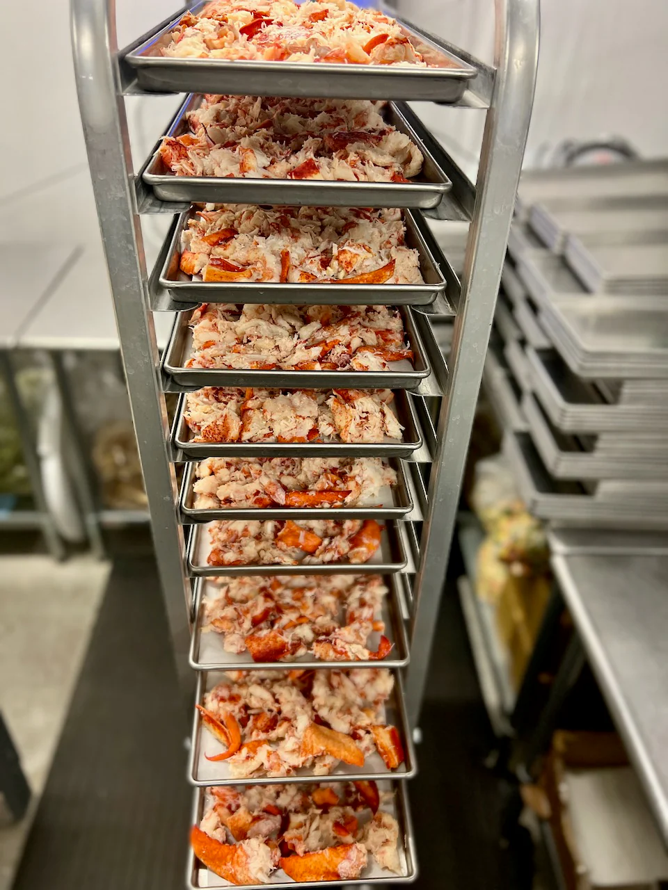 Pre-Sale Freeze Dried Fully Cooked Wild Caught Maine Lobster - Image 5