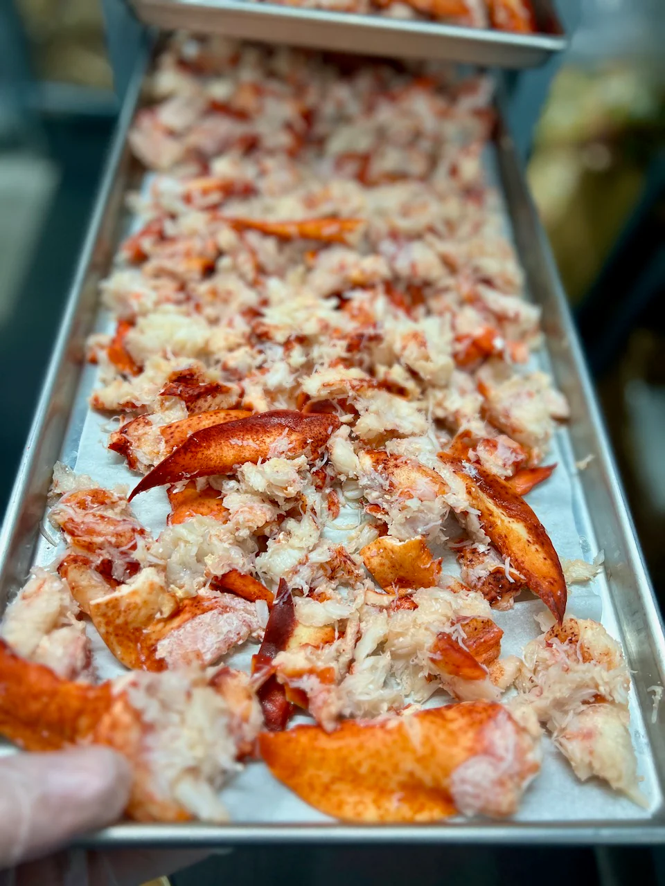 Pre-Sale Freeze Dried Fully Cooked Wild Caught Maine Lobster - Image 7