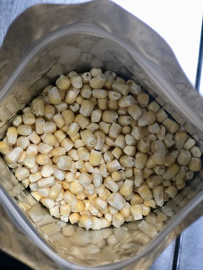 Freeze Dried Corn - Image 3