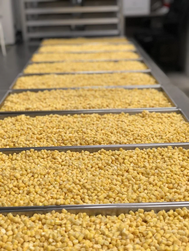 Freeze Dried Corn - Image 4