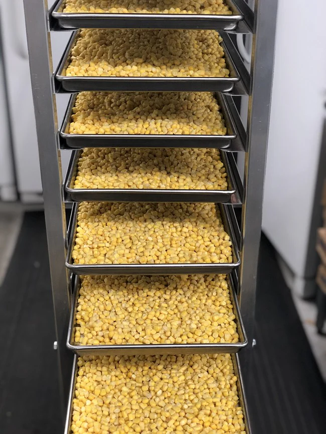 Freeze Dried Corn - Image 5