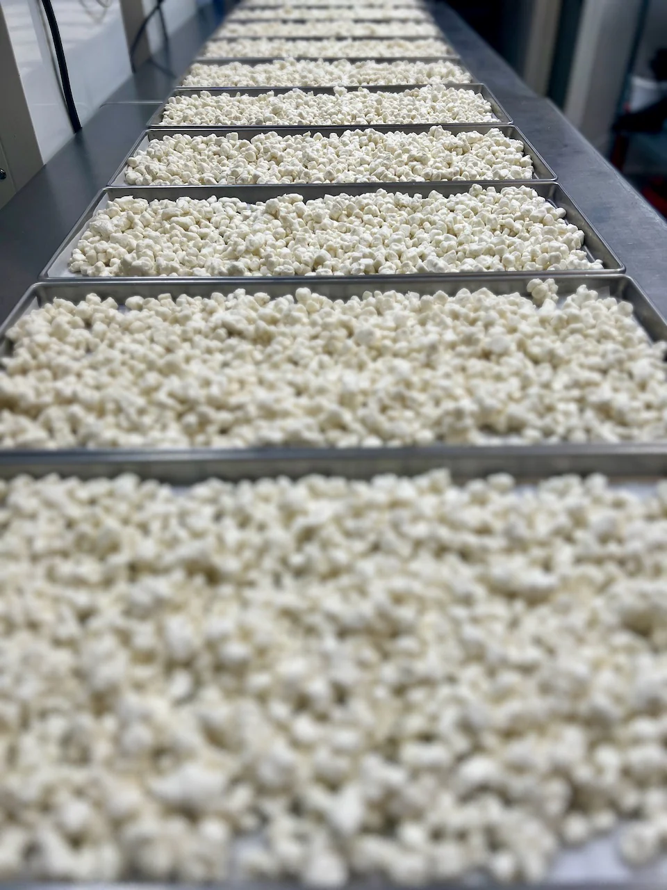 Freeze Dried Crumbled Local Goat Cheese - Image 5