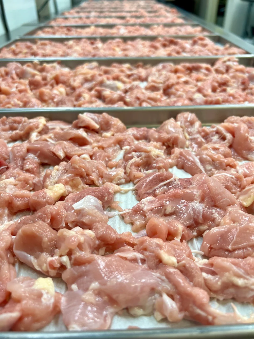 Freeze Dried Uncooked Diced Chicken Thighs - Image 5