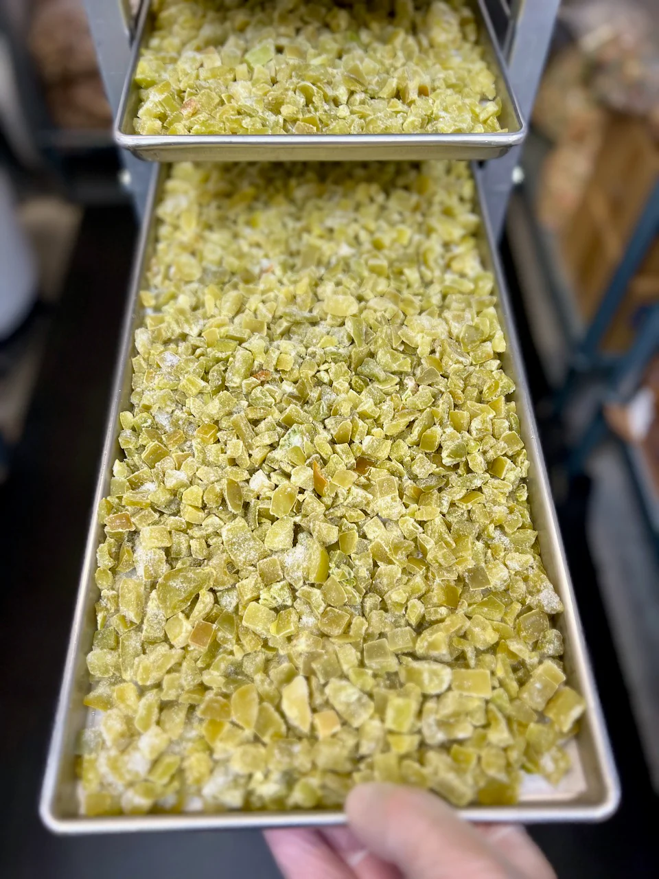 Freeze Dried Diced Green Bell Peppers - Image 5