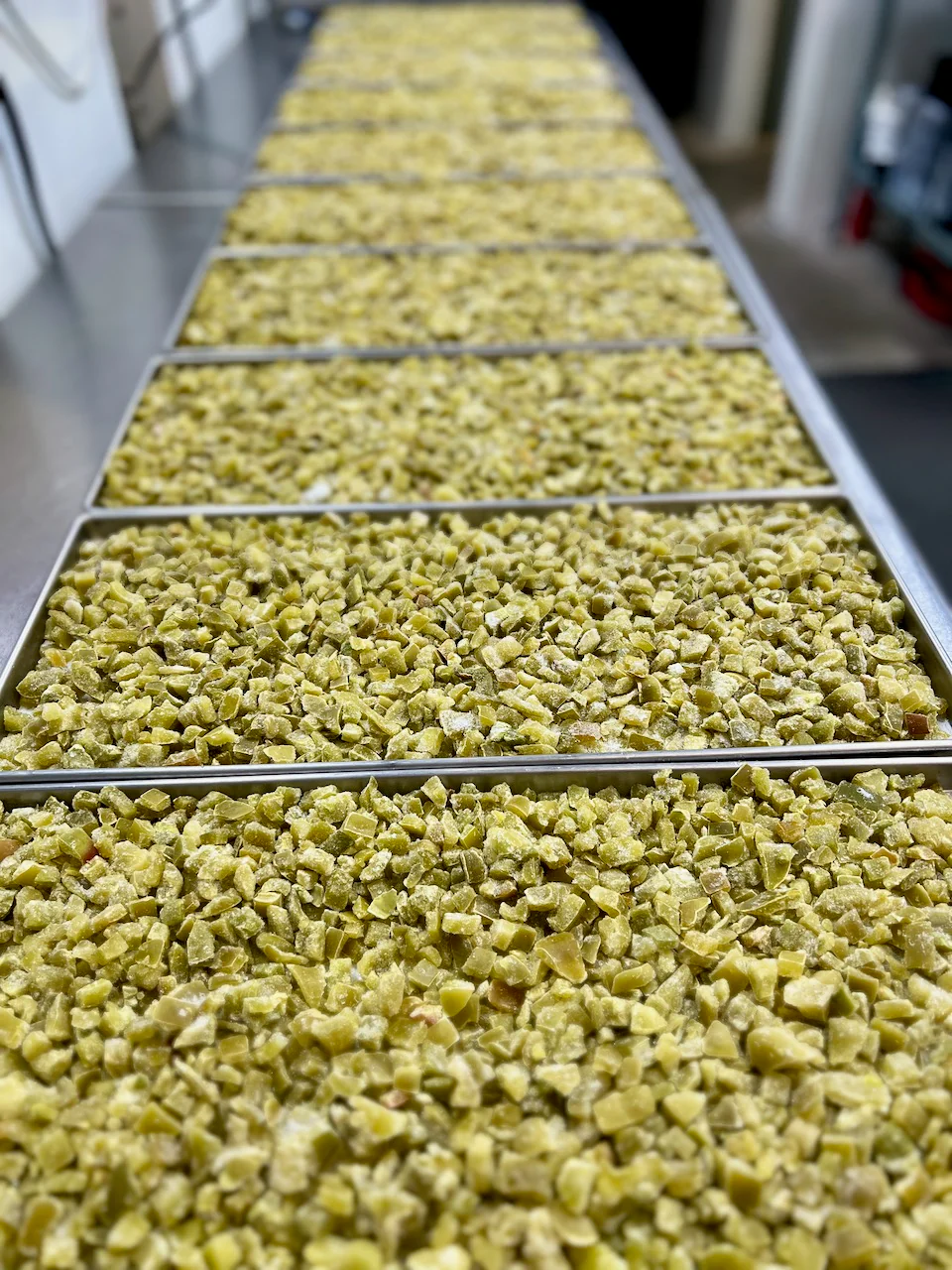 Freeze Dried Diced Green Bell Peppers - Image 6