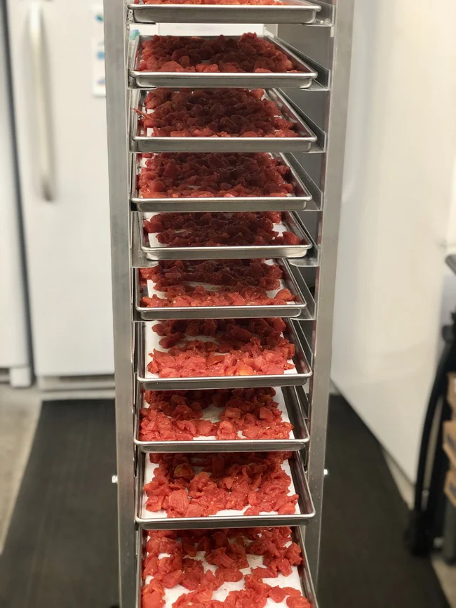 Freeze Dried Diced Tomatoes - Image 5