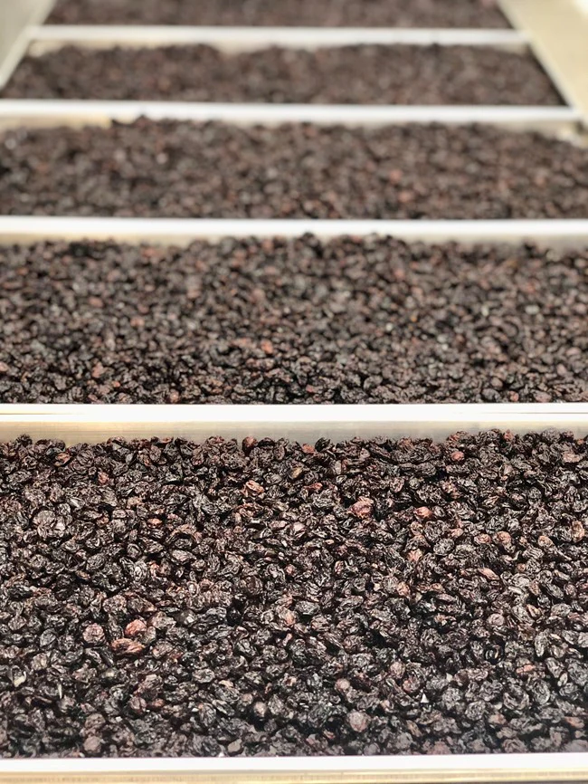 Freeze Dried Zante Currant Raisins - Image 4