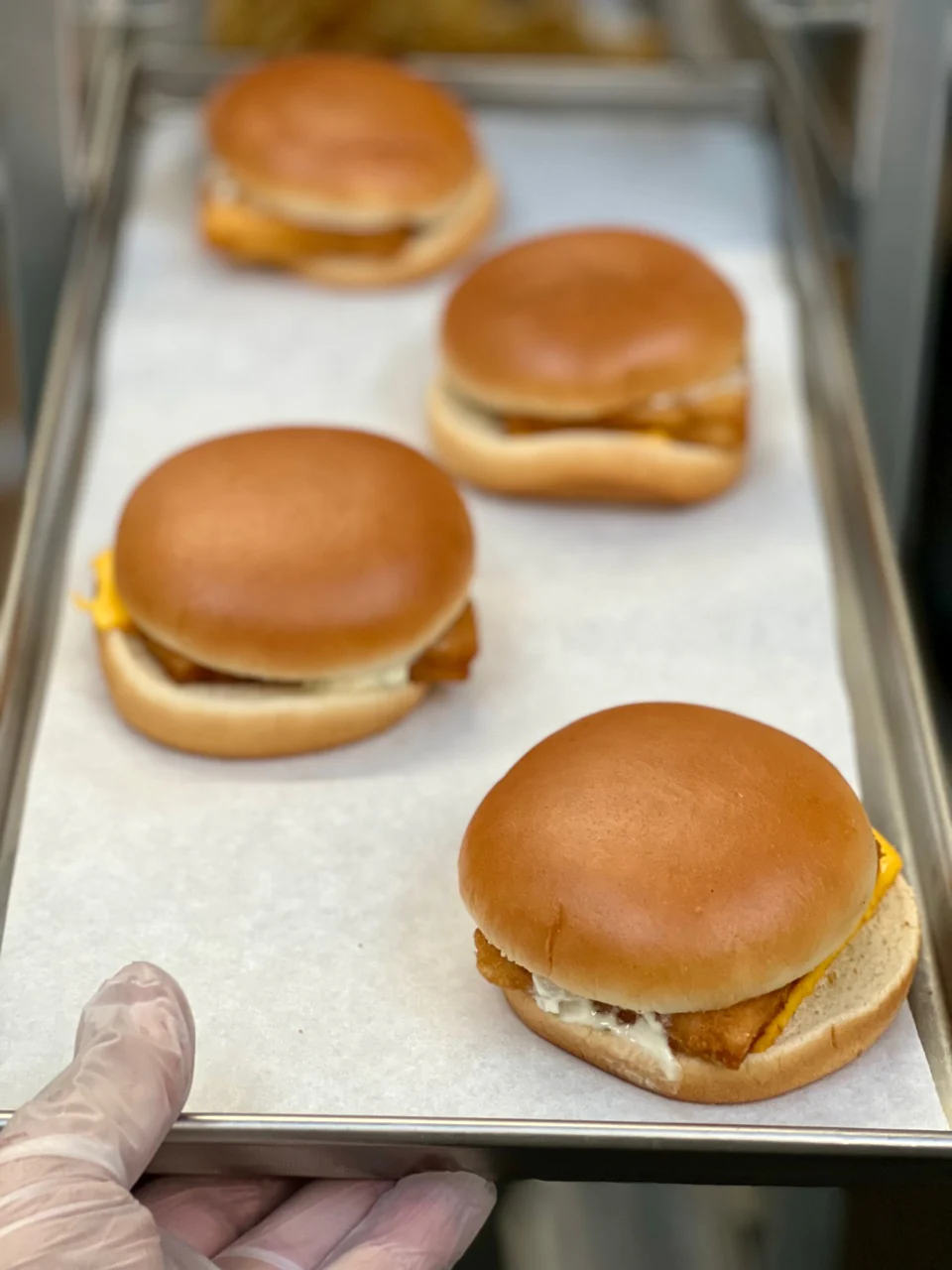 [Pre-Sale] Freeze Dried Filet of Fish Sandwich - Image 3