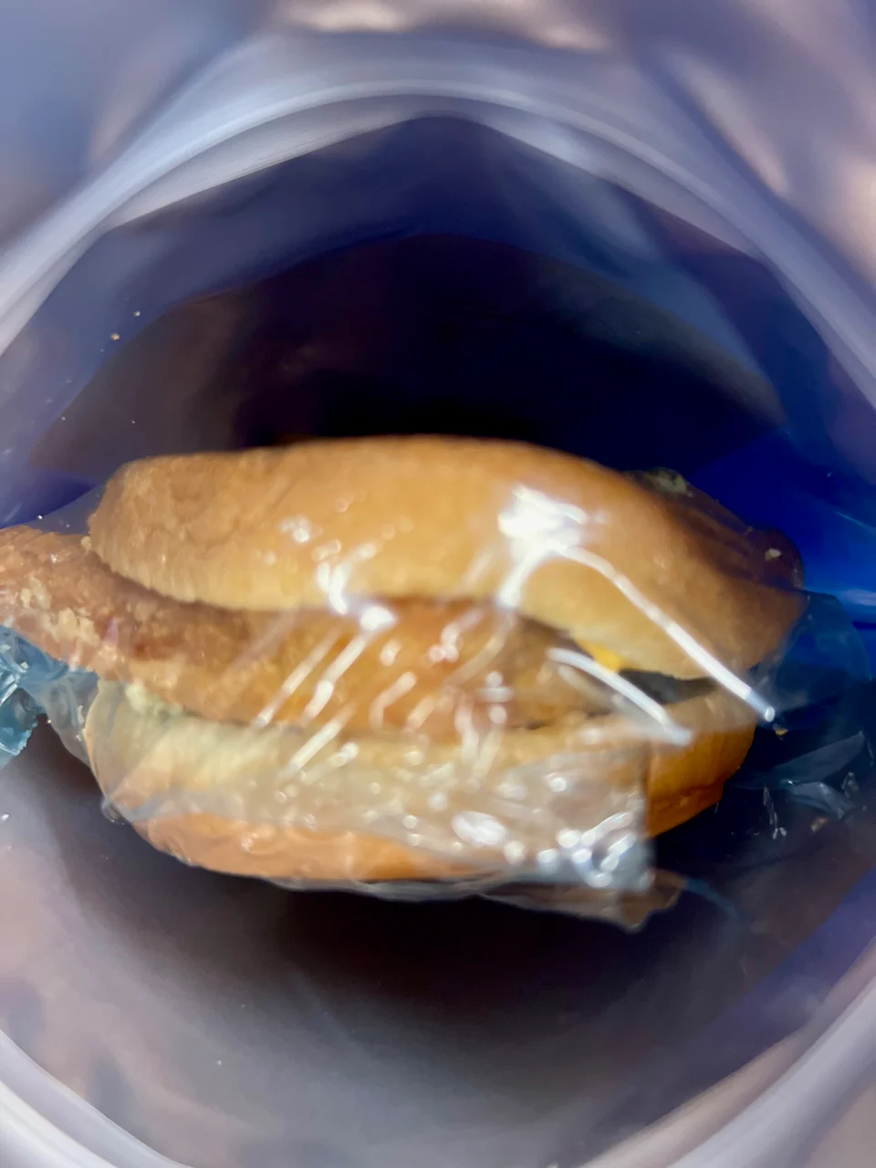 [Pre-Sale] Freeze Dried Filet of Fish Sandwich - Image 4