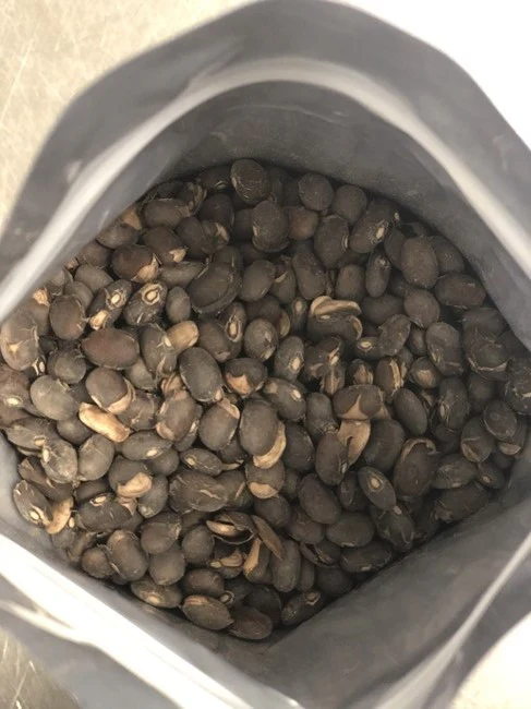 Freeze Dried Fully Cooked Black Beans - Image 3