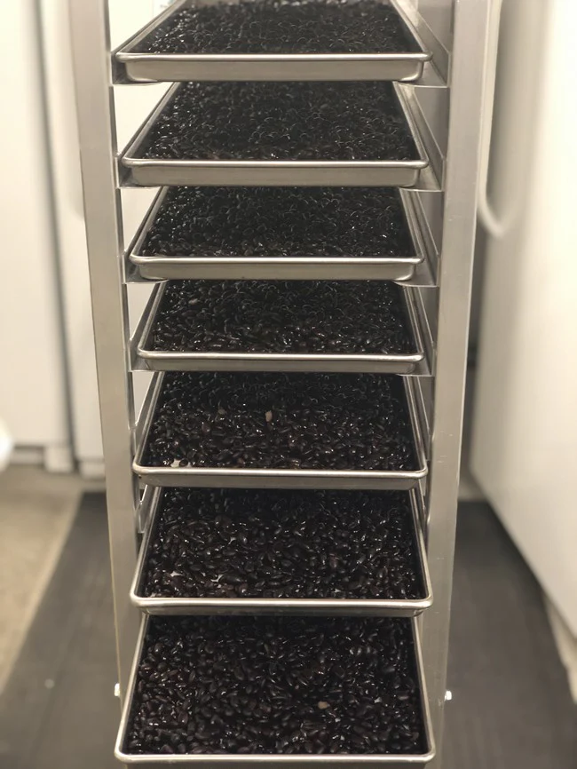 Freeze Dried Fully Cooked Black Beans - Image 4