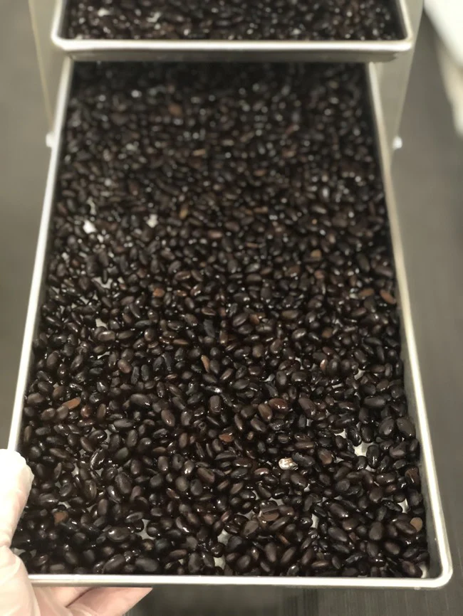Freeze Dried Fully Cooked Black Beans - Image 5
