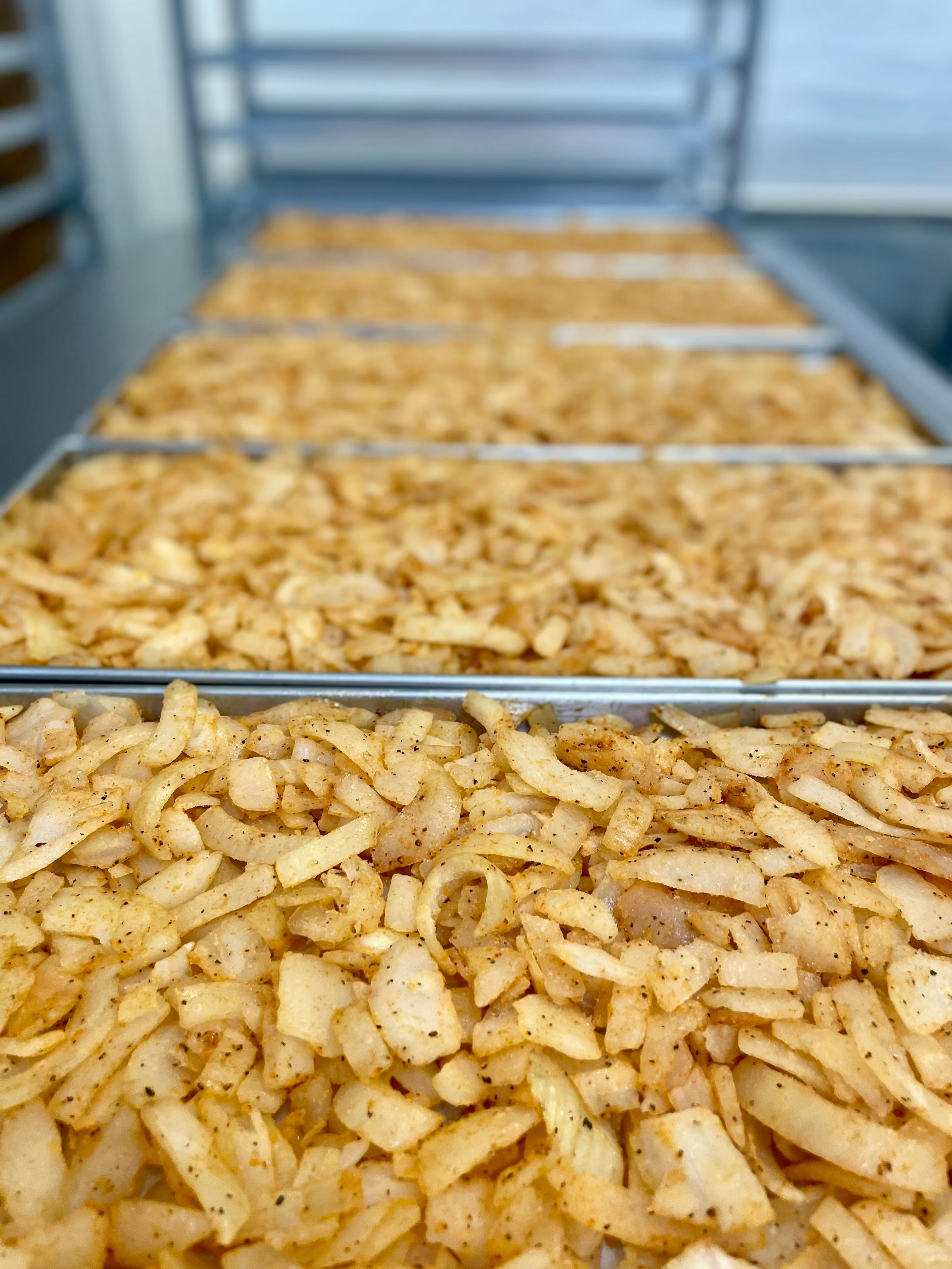 Freeze Dried Fully Cooked Caramelized Onions - Image 5