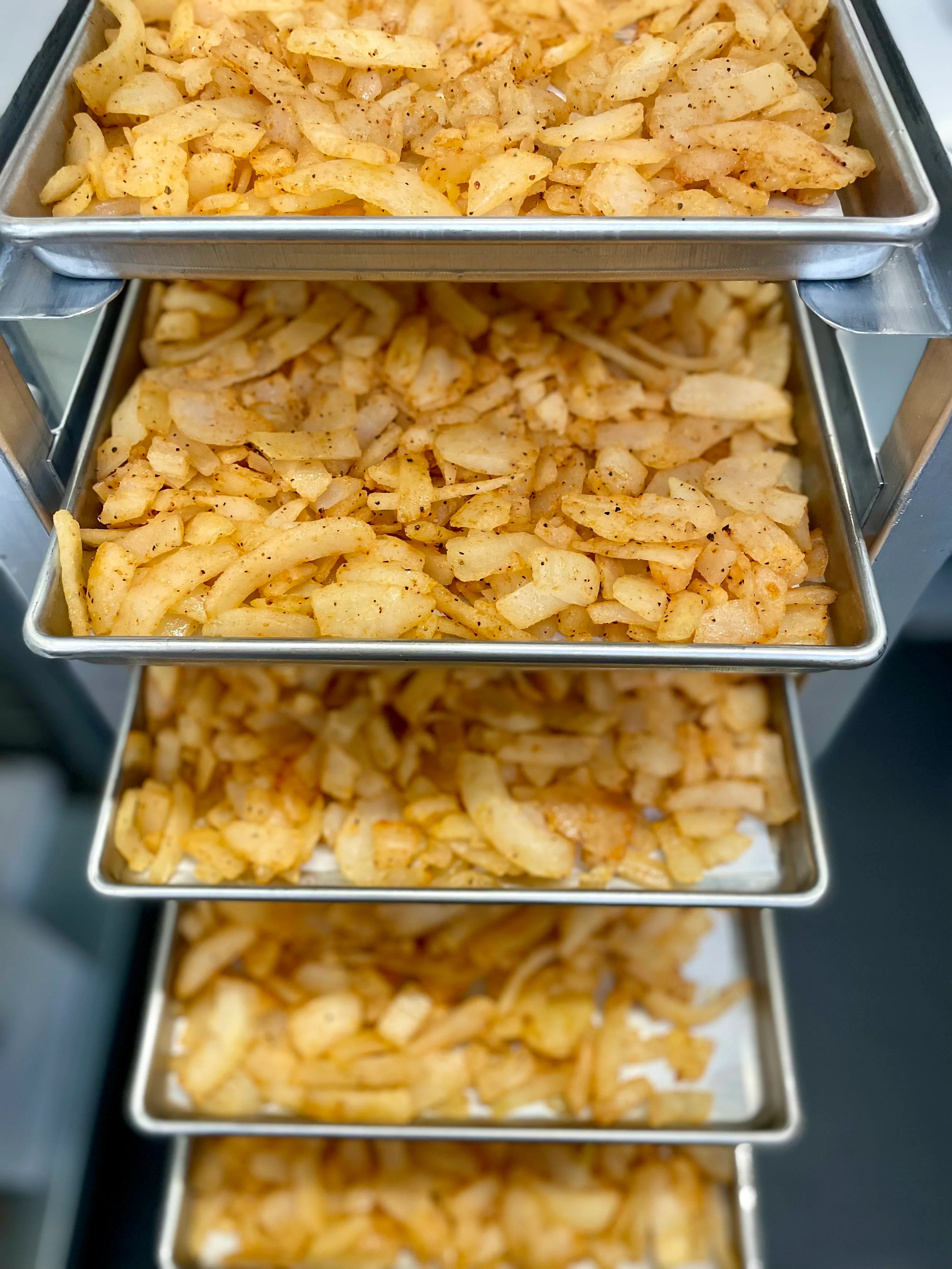 Freeze Dried Fully Cooked Caramelized Onions - Image 6