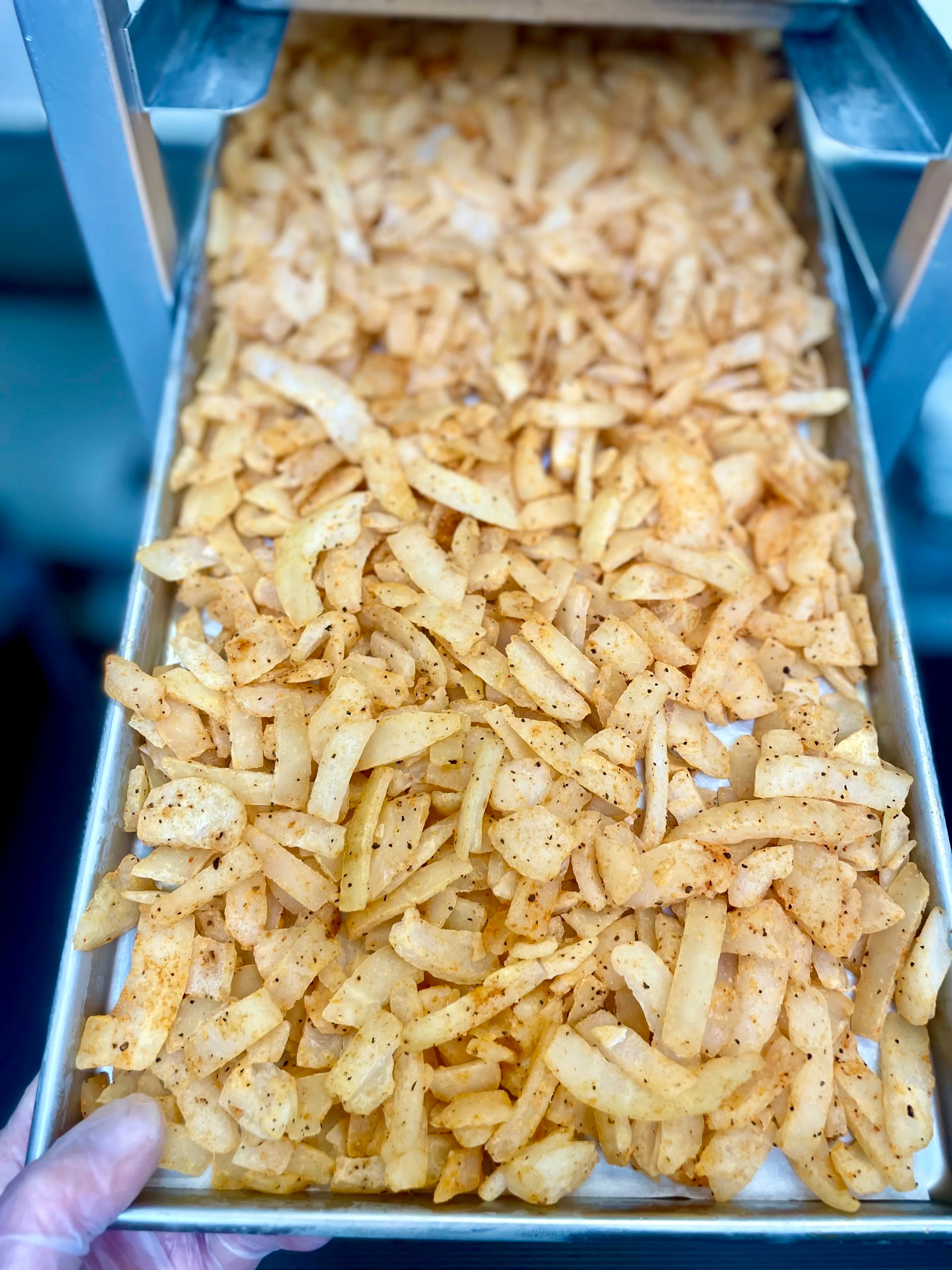 Freeze Dried Fully Cooked Caramelized Onions - Image 7