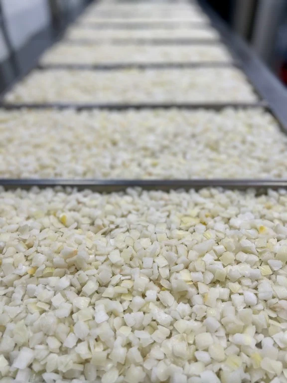 Freeze Dried Fully Cooked Diced Onions - Image 5