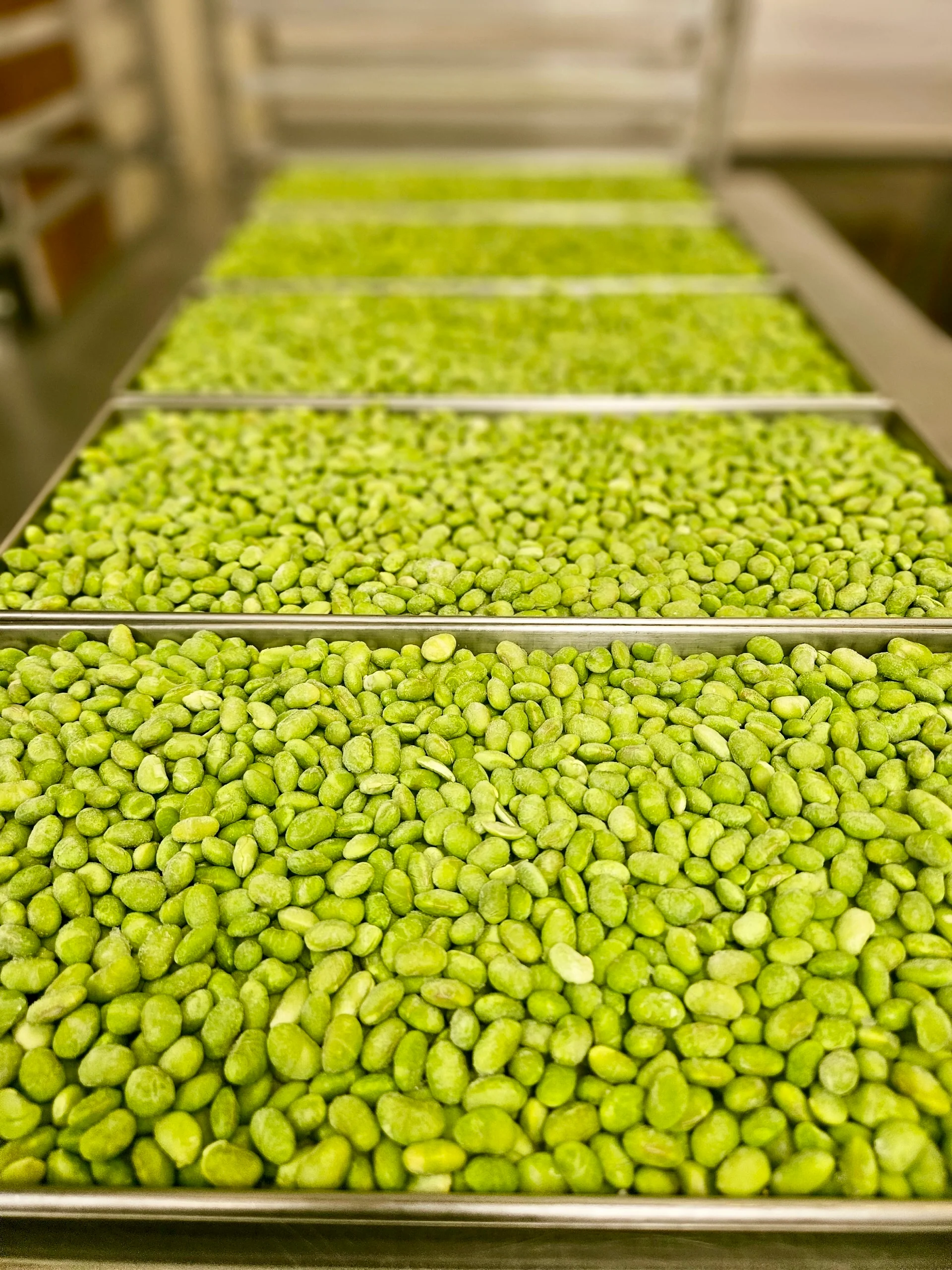 Freeze Dried Fully Cooked Shelled Edamame - Image 5