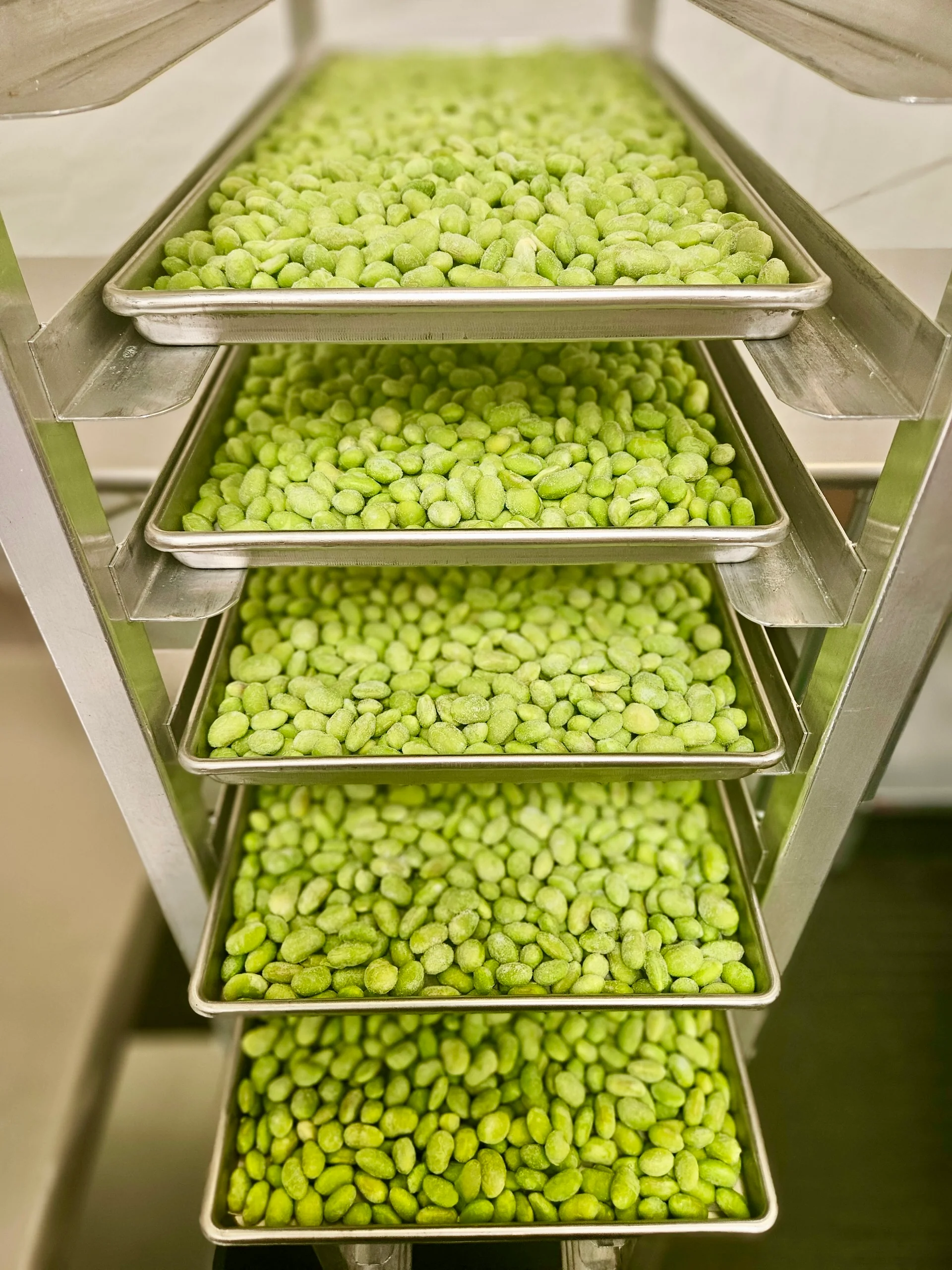 Freeze Dried Fully Cooked Shelled Edamame - Image 6