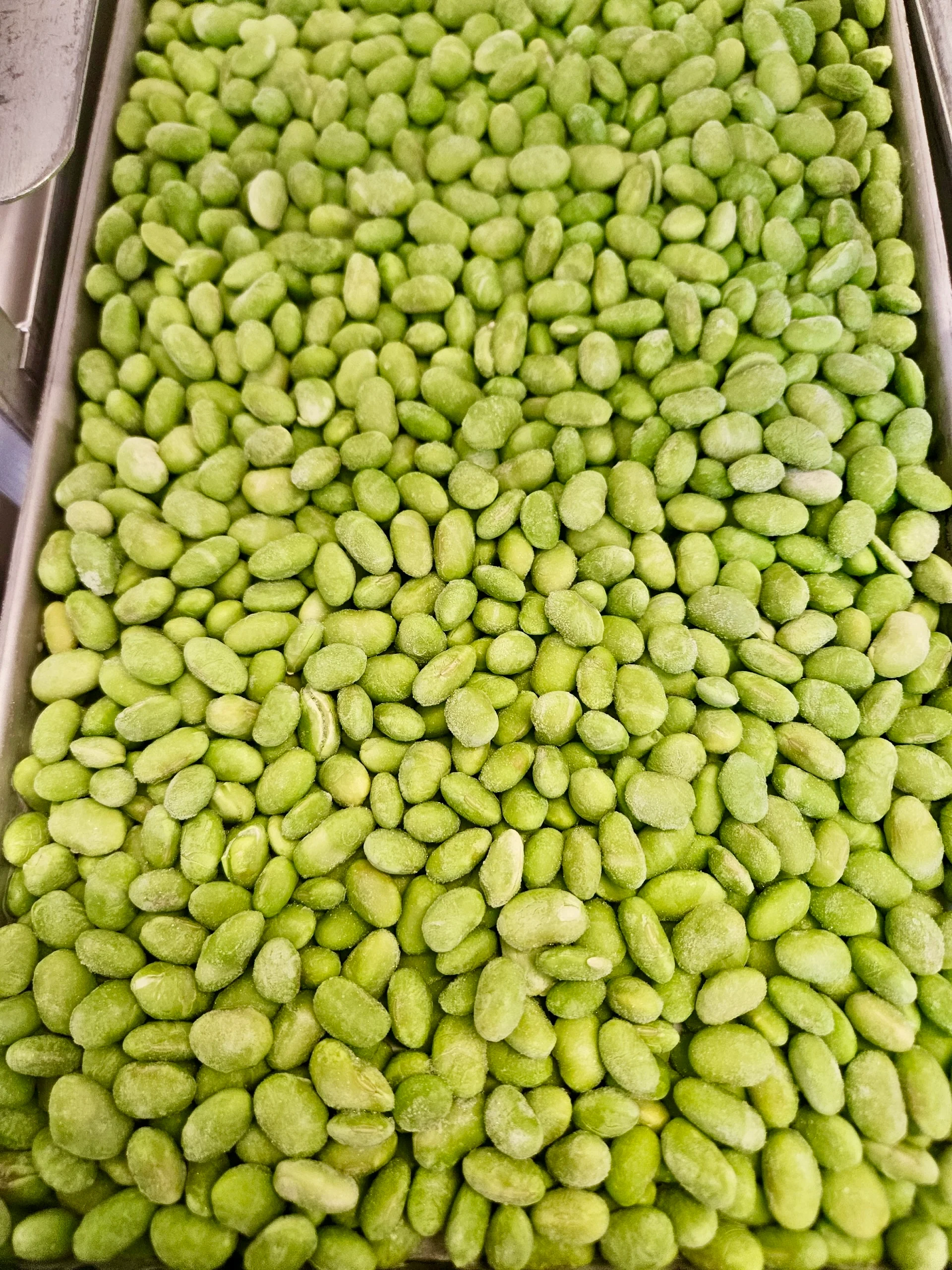 Freeze Dried Fully Cooked Shelled Edamame - Image 7