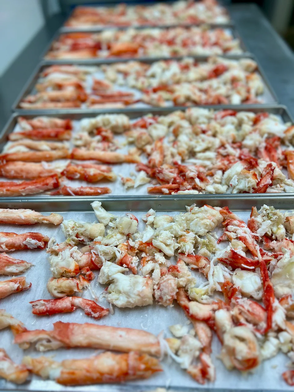 Freeze Dried Fully Cooked King Crab Legs - Image 7