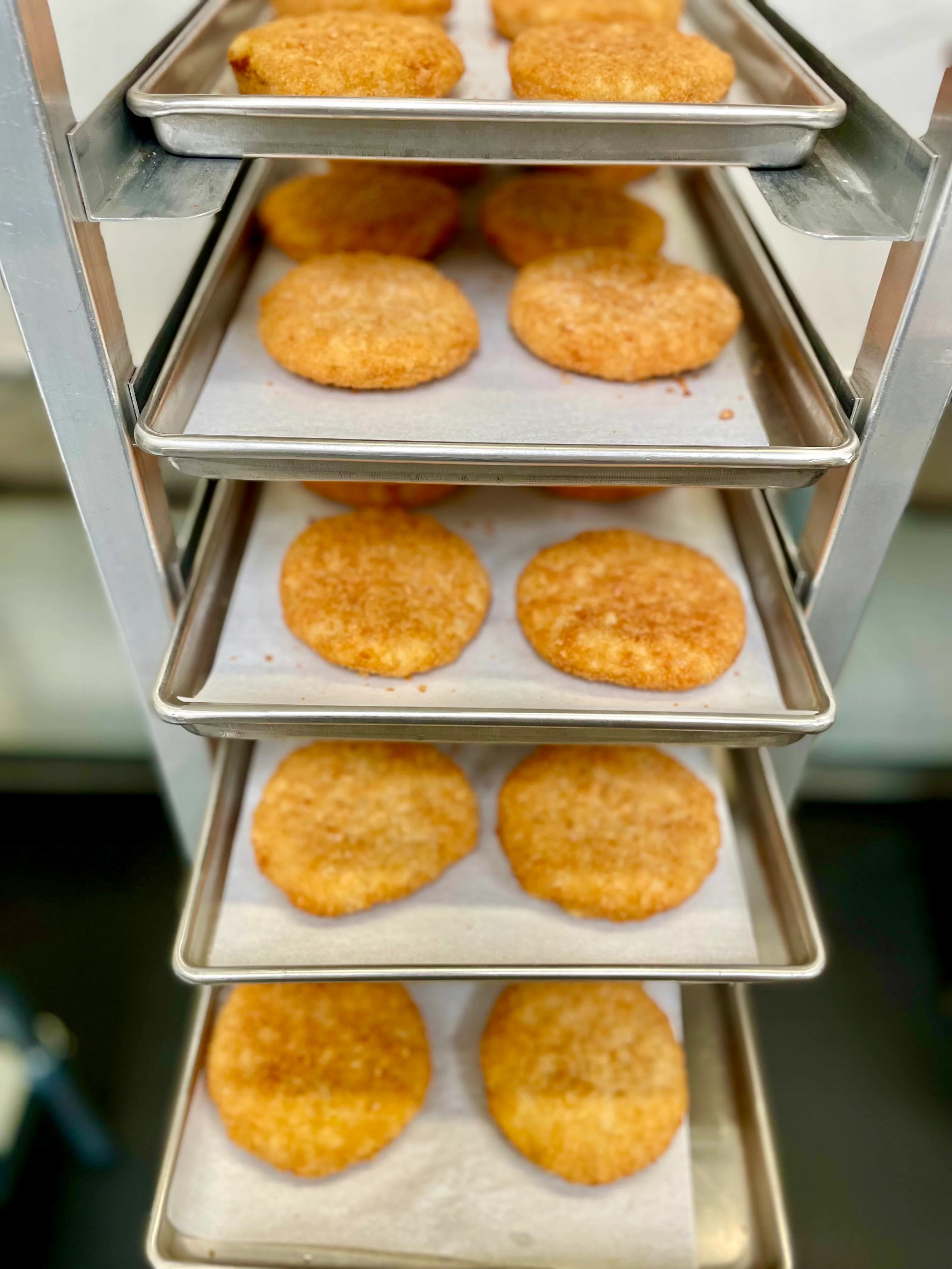 LIMITED PRODUCTION Freeze Dried Fully Cooked New England Style Crab Cakes - Image 6