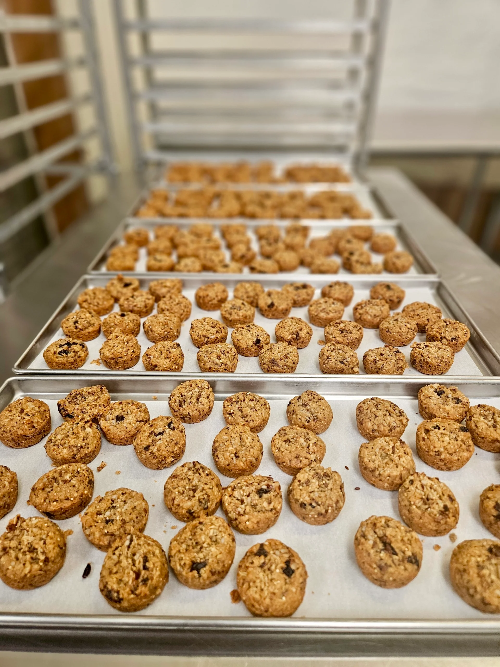 Freeze Dried Fully Cooked Organic “Aussie Bites” - Baked Multi-Grain Muffins - Image 5