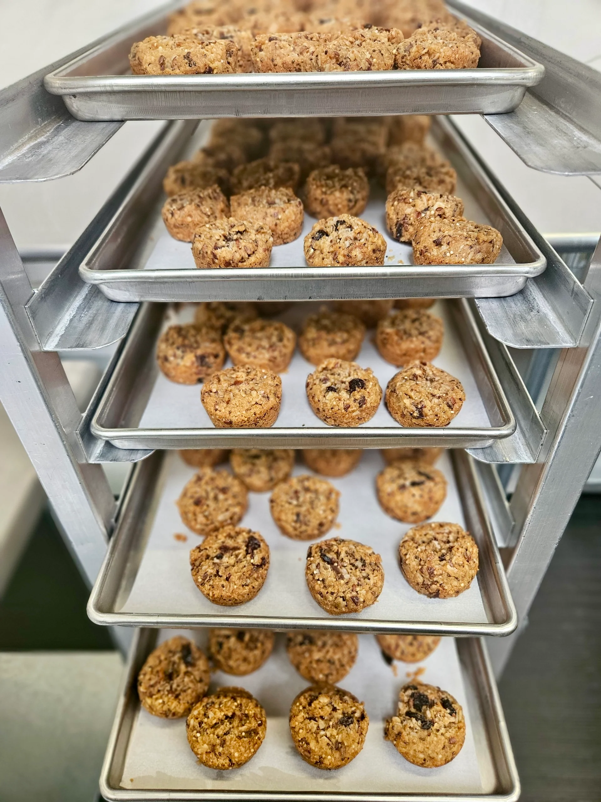 Freeze Dried Fully Cooked Organic “Aussie Bites” - Baked Multi-Grain Muffins - Image 6