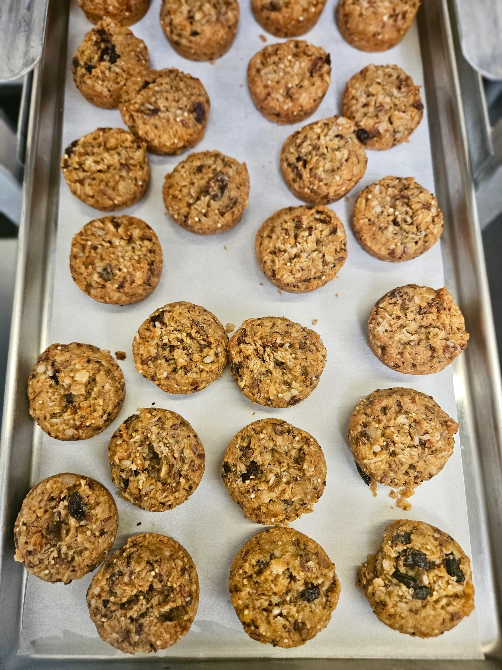 Freeze Dried Fully Cooked Organic “Aussie Bites” - Baked Multi-Grain Muffins - Image 7