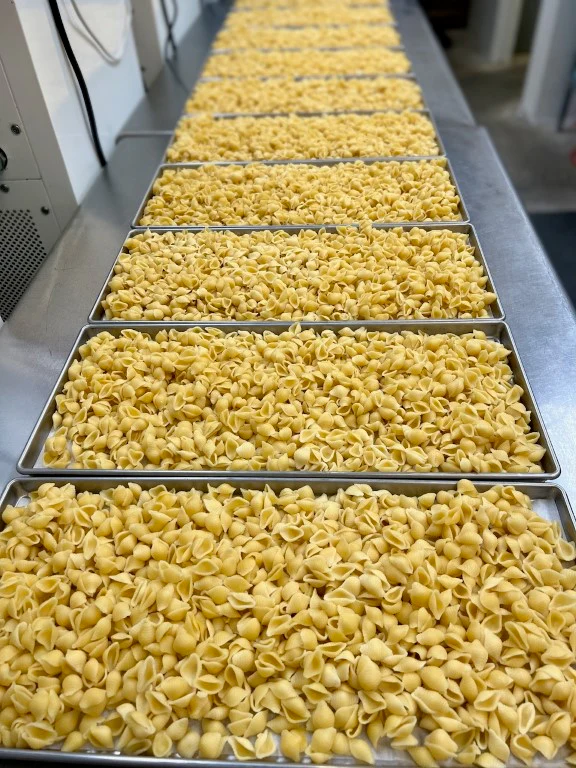 Freeze Dried Fully Cooked Pasta Shells - Image 5