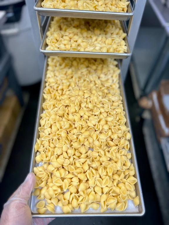 Freeze Dried Fully Cooked Pasta Shells - Image 6